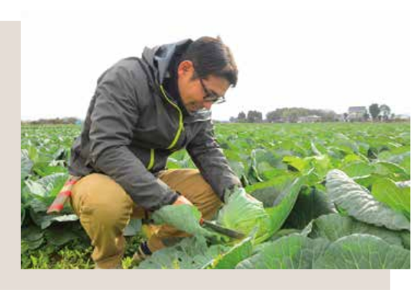 株式会社基里OKファーム ｜佐賀県鳥栖の農場：地域の農業と消費